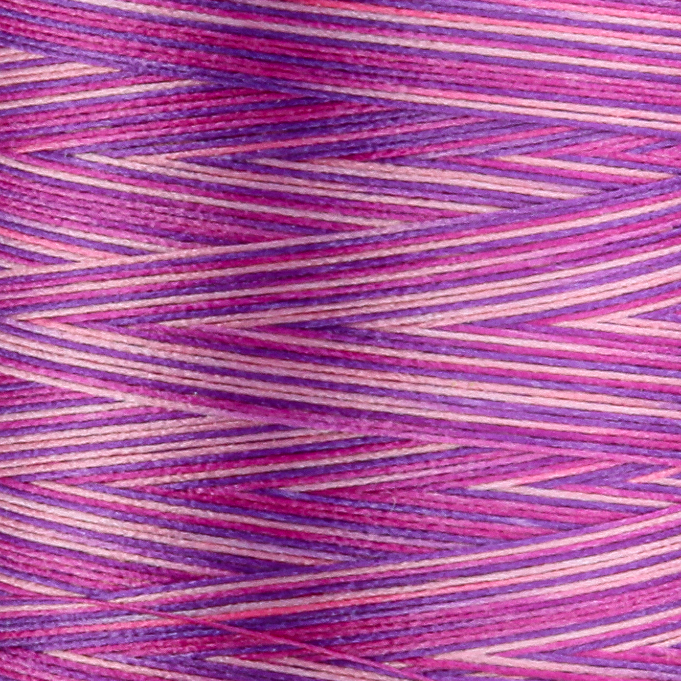 SLM55 WonderFil Online EU