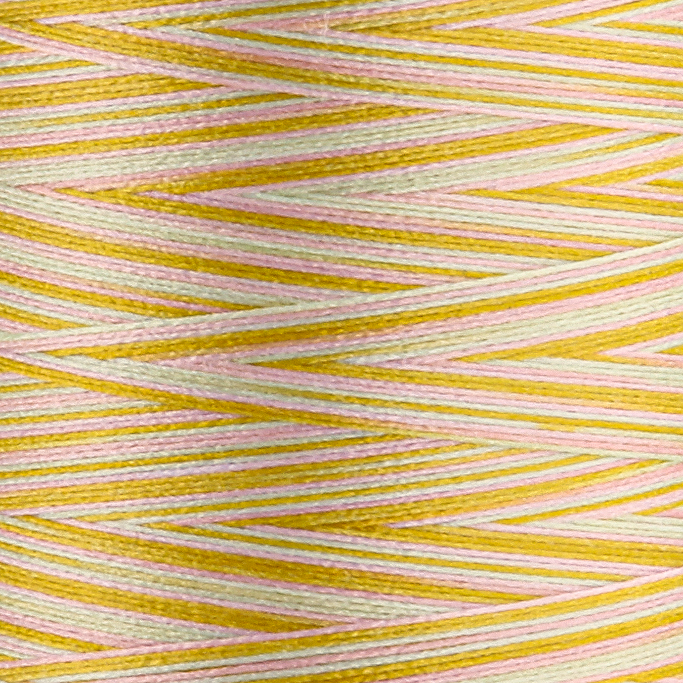 SLM60 WonderFil Online EU