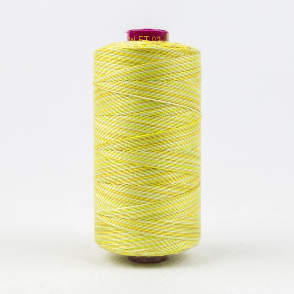 FT03 - Fruitti™ 12wt Egyptian Cotton Citrus Thread WonderFil