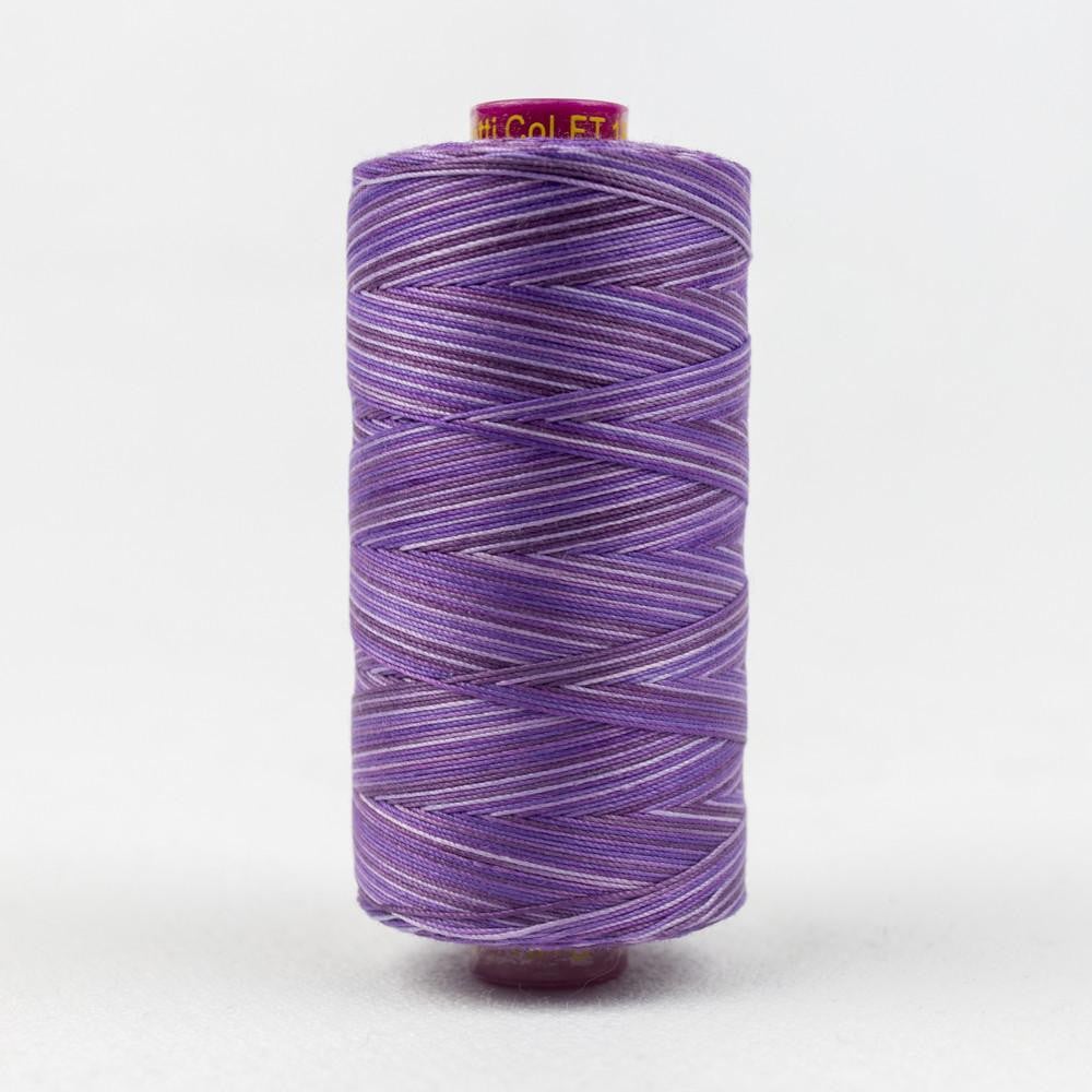 FT18 - Fruitti™ 12wt Egyptian Cotton Blueberry Thread WonderFil