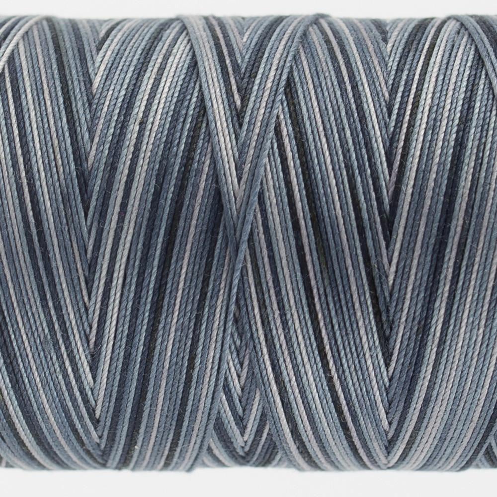 FT40 - Fruitti™ 12wt Egyptian Cotton Slate Thread WonderFil