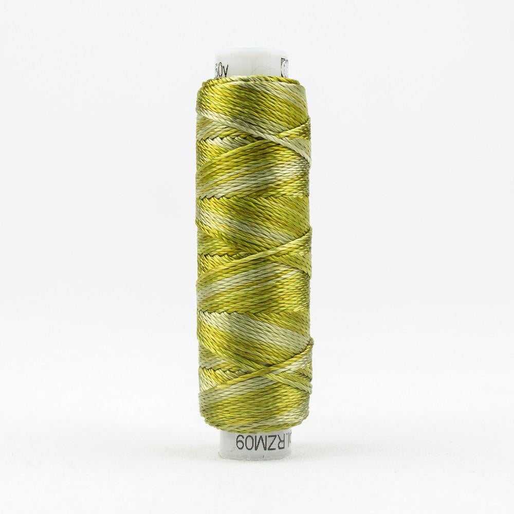 SSRZM09 - Razzle™ 8wt Rayon Marsh Grass Thread WonderFil