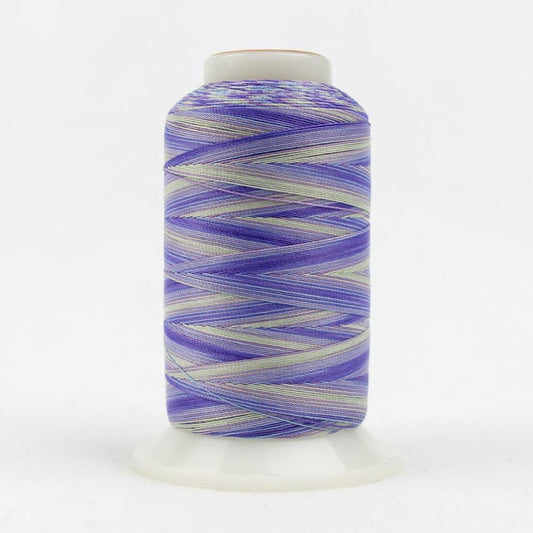 SCM12 - Silco™ 35wt Cotton Violets Blues Thread WonderFil