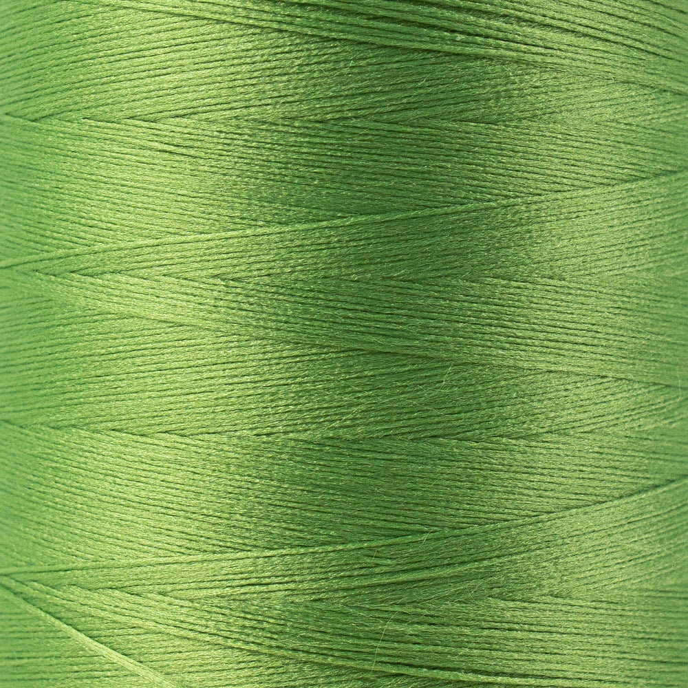 SL45 - SoftLoc™ Wooly Poly Palm Leaf Thread WonderFil Online EU