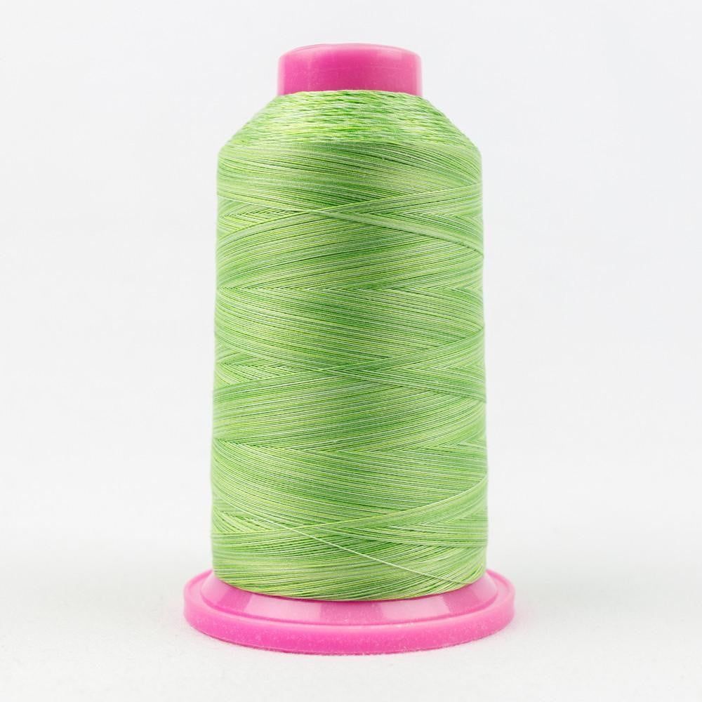 TU28 - Tutti™ 50wt Egyptian Cotton Lime Thread WonderFil