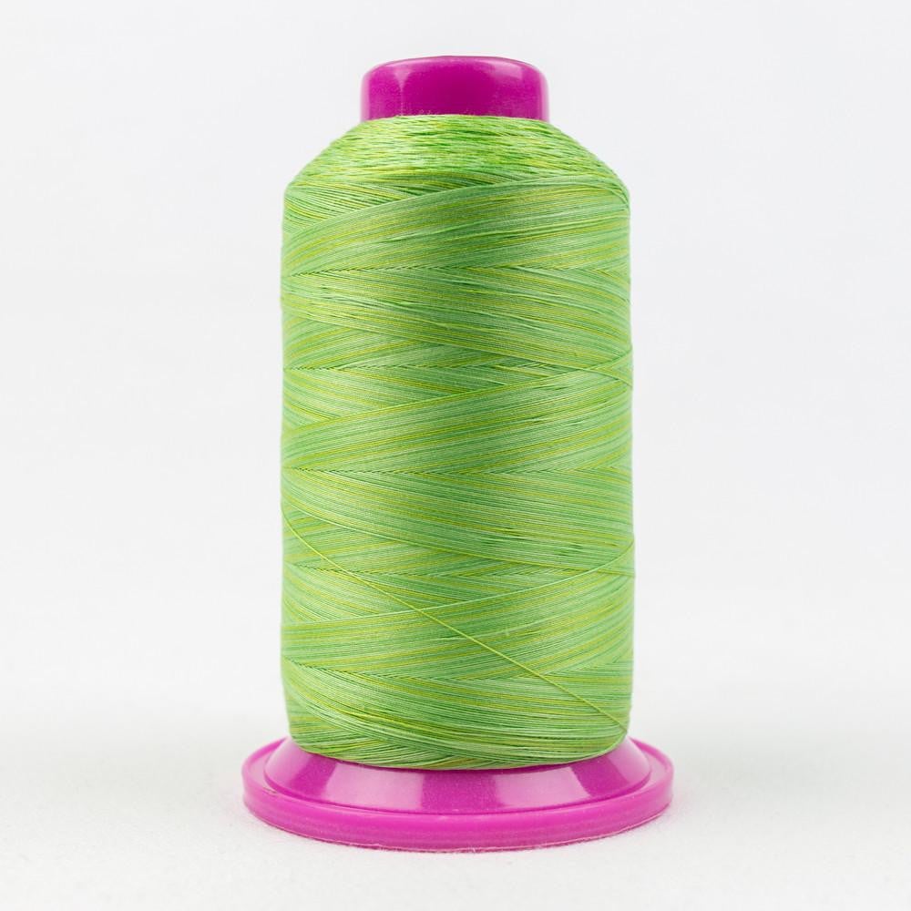 TU29 - Tutti™ 50wt Egyptian Cotton Grass Thread WonderFil