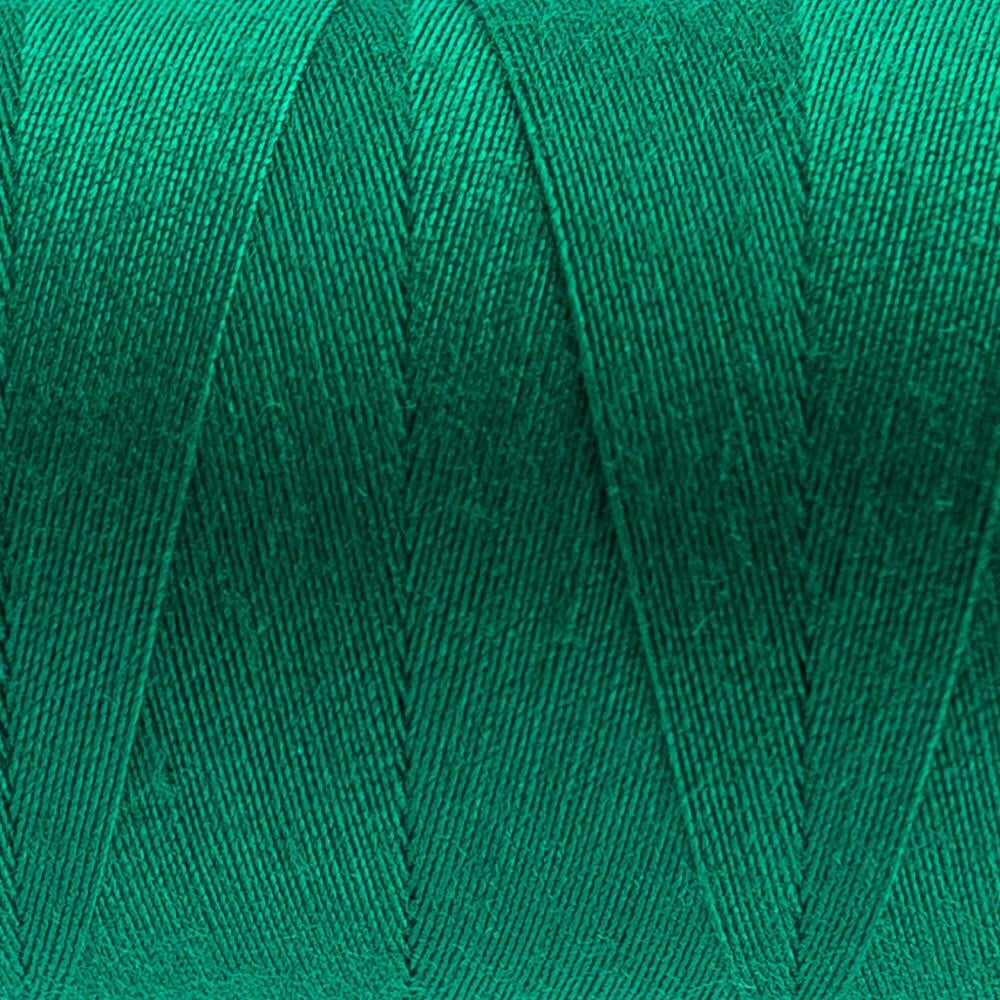 DS147 - Designer™ All purpose 40wt Polyester Elf Green Thread WonderFil