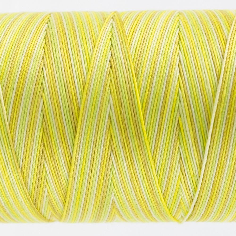 FT03 - Fruitti™ 12wt Egyptian Cotton Citrus Thread WonderFil
