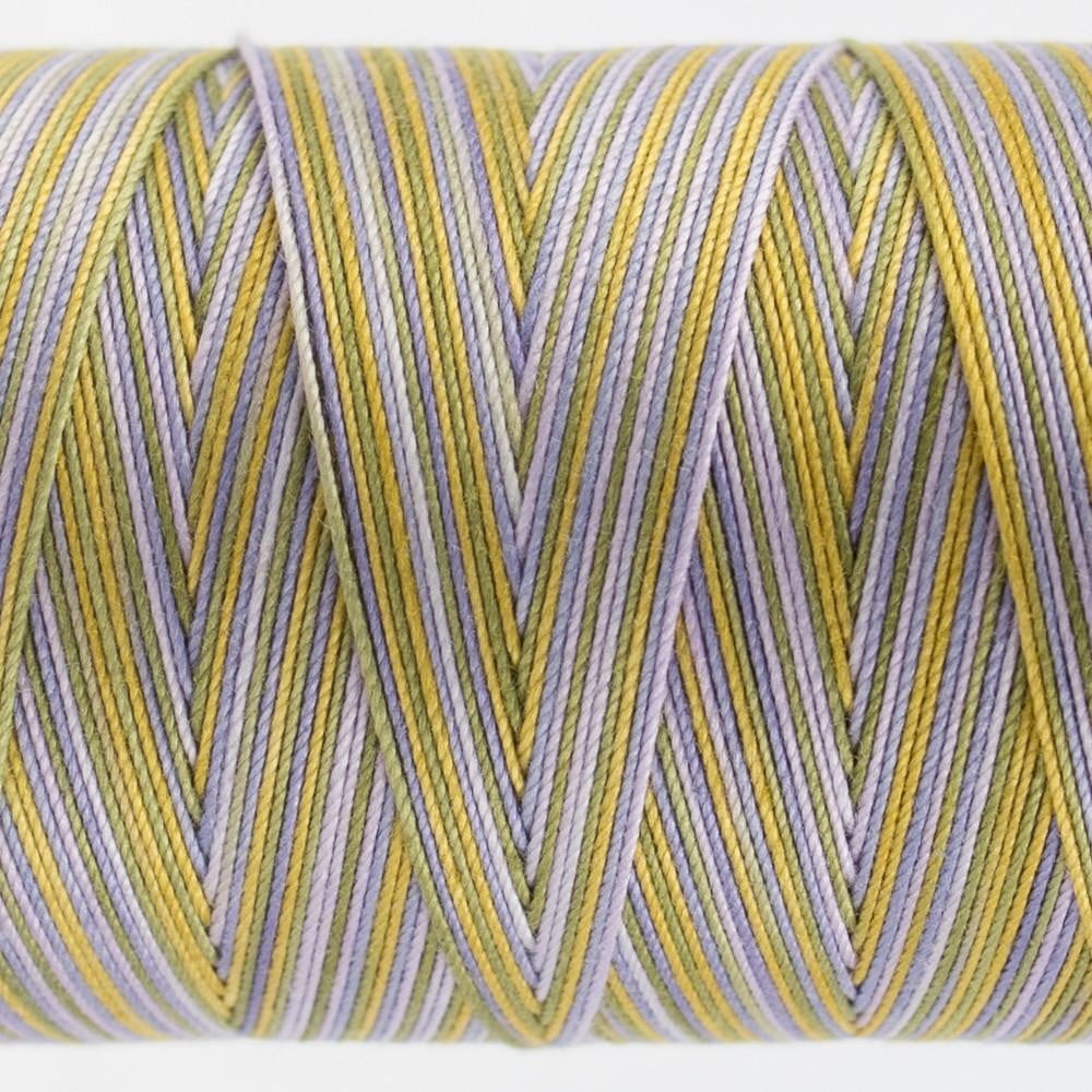 FT14 - Fruitti™ 12wt Egyptian Cotton Spring Thread WonderFil