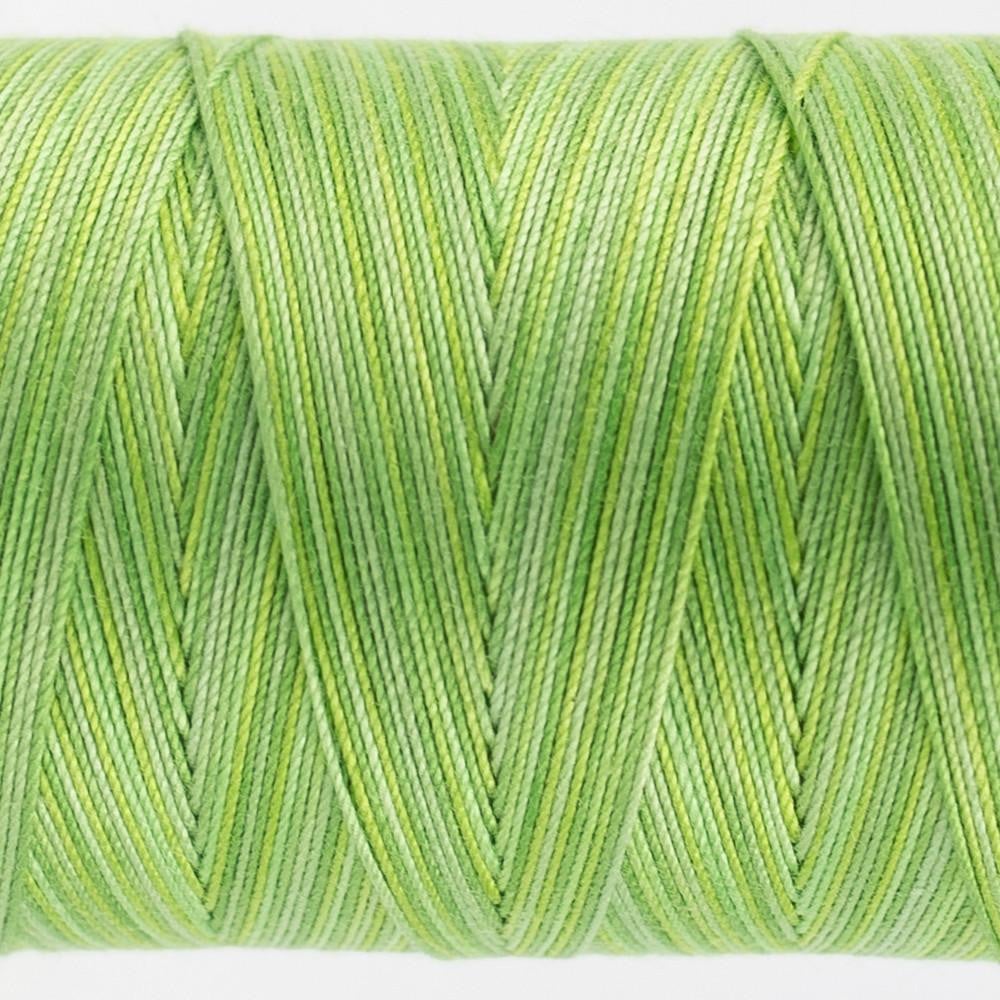 FT29 - Fruitti™ 12wt Egyptian Cotton Grass Thread WonderFil