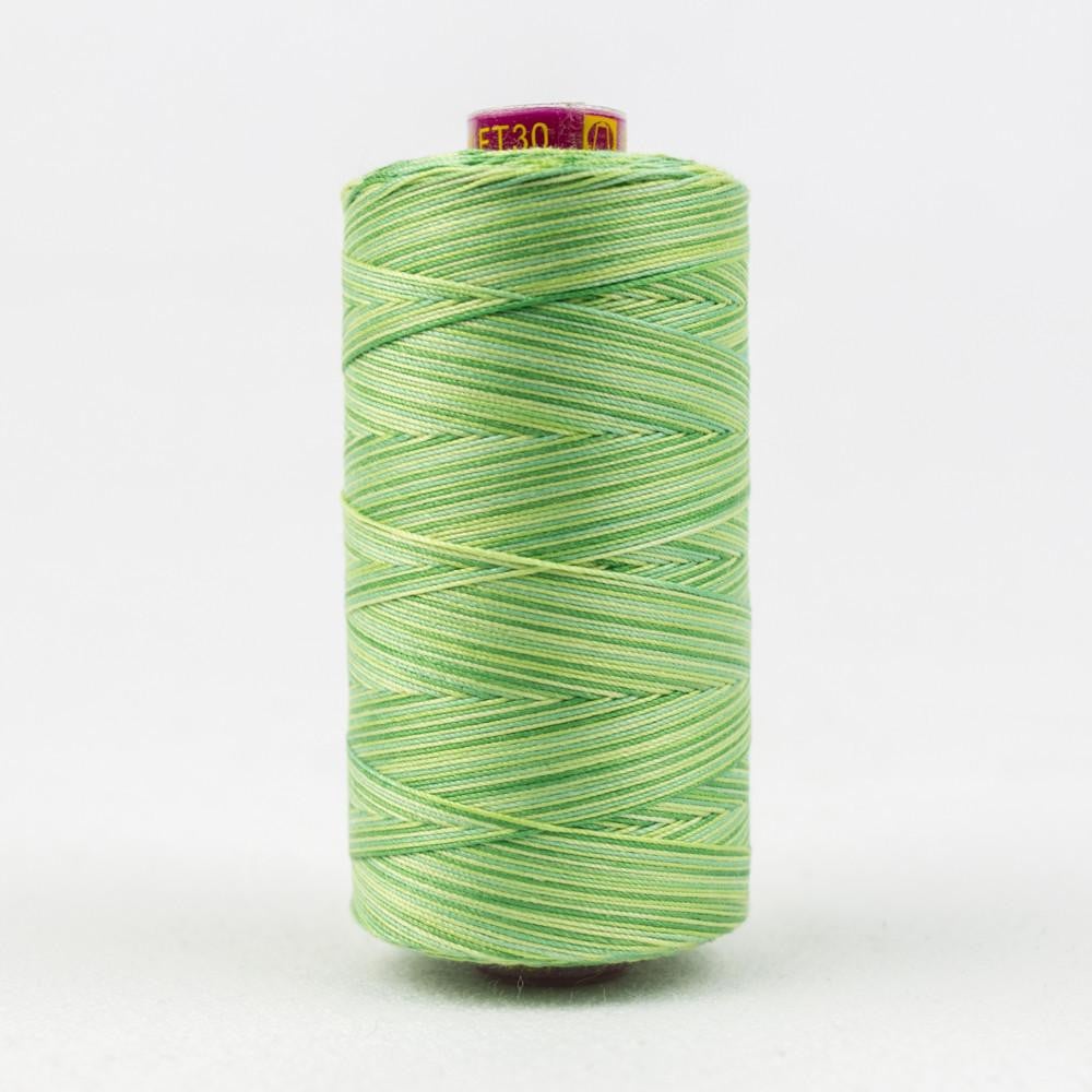 FT30 - Fruitti™ 12wt Egyptian Cotton Leaves Thread WonderFil