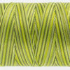 FT32 - Fruitti™ 12wt Egyptian Cotton Moss Thread WonderFil