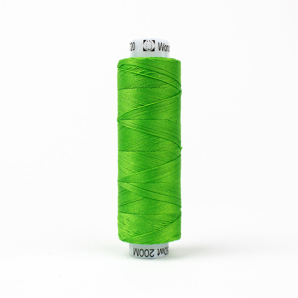 KT720 - Konfetti™ 50wt Egyptian Cotton Thread Palm WonderFil