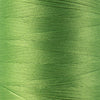 SL45 - SoftLoc™ Wooly Poly Palm Leaf Thread WonderFil Online EU